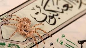 منهج سورة العنكبوت 6 سنوات